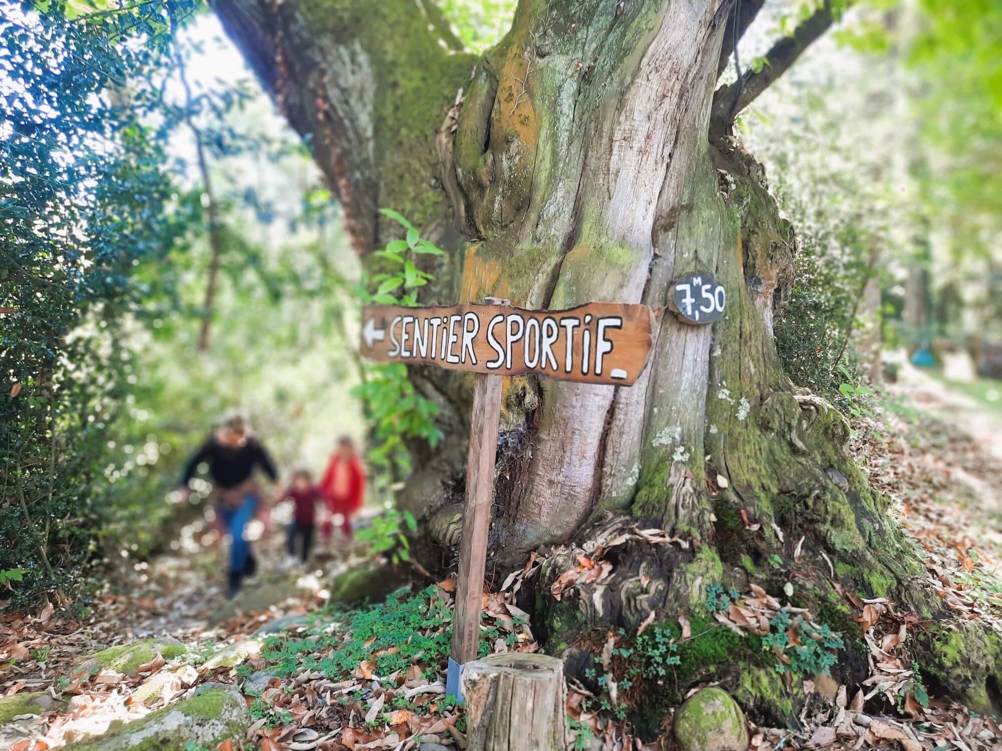 activité sur place-balades camping le rural-