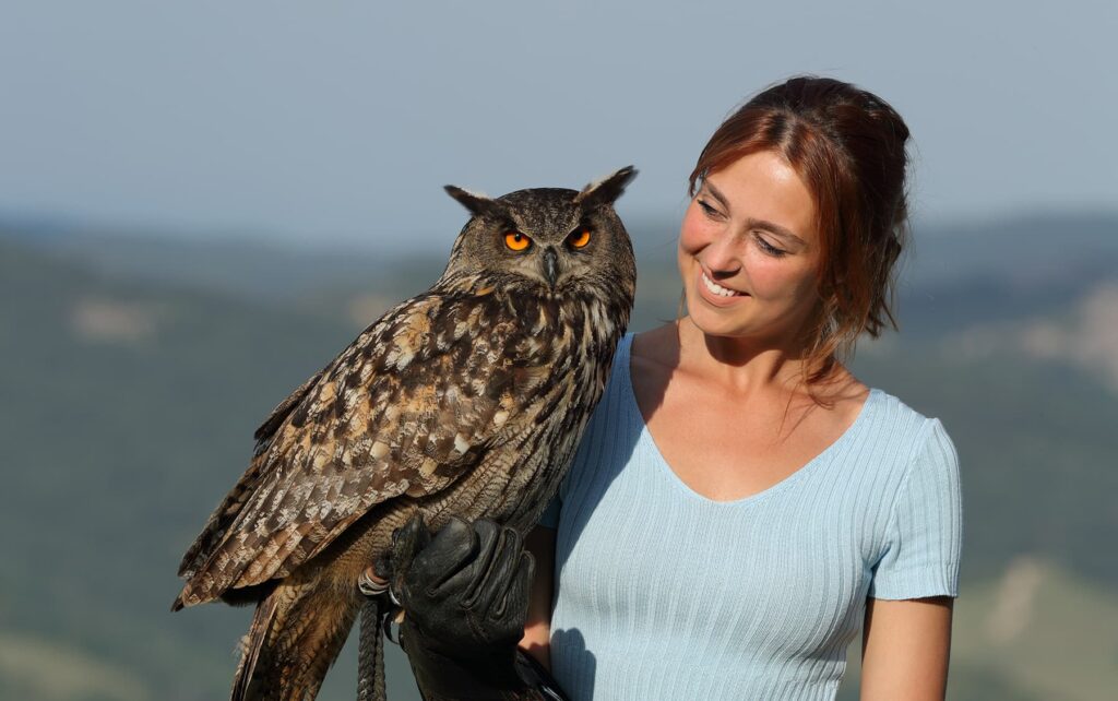 Donjon des aigles